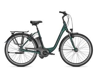 raleigh dover electric bike