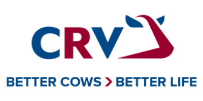 CRV.png