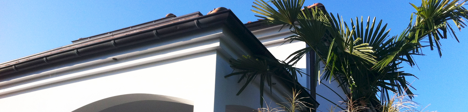 dakgoot-header (1).jpg