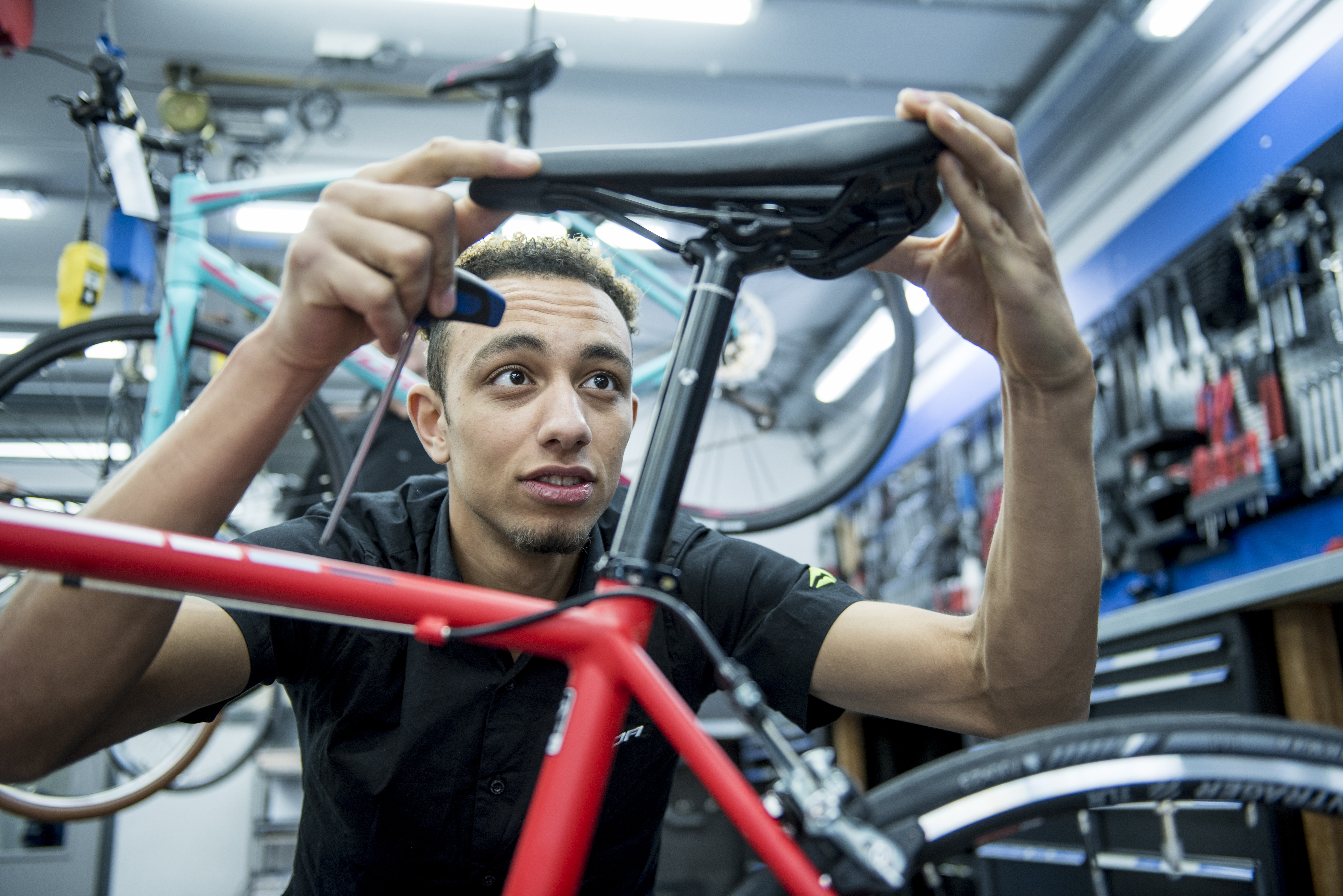 Winkel - Webshop - Werkplaats